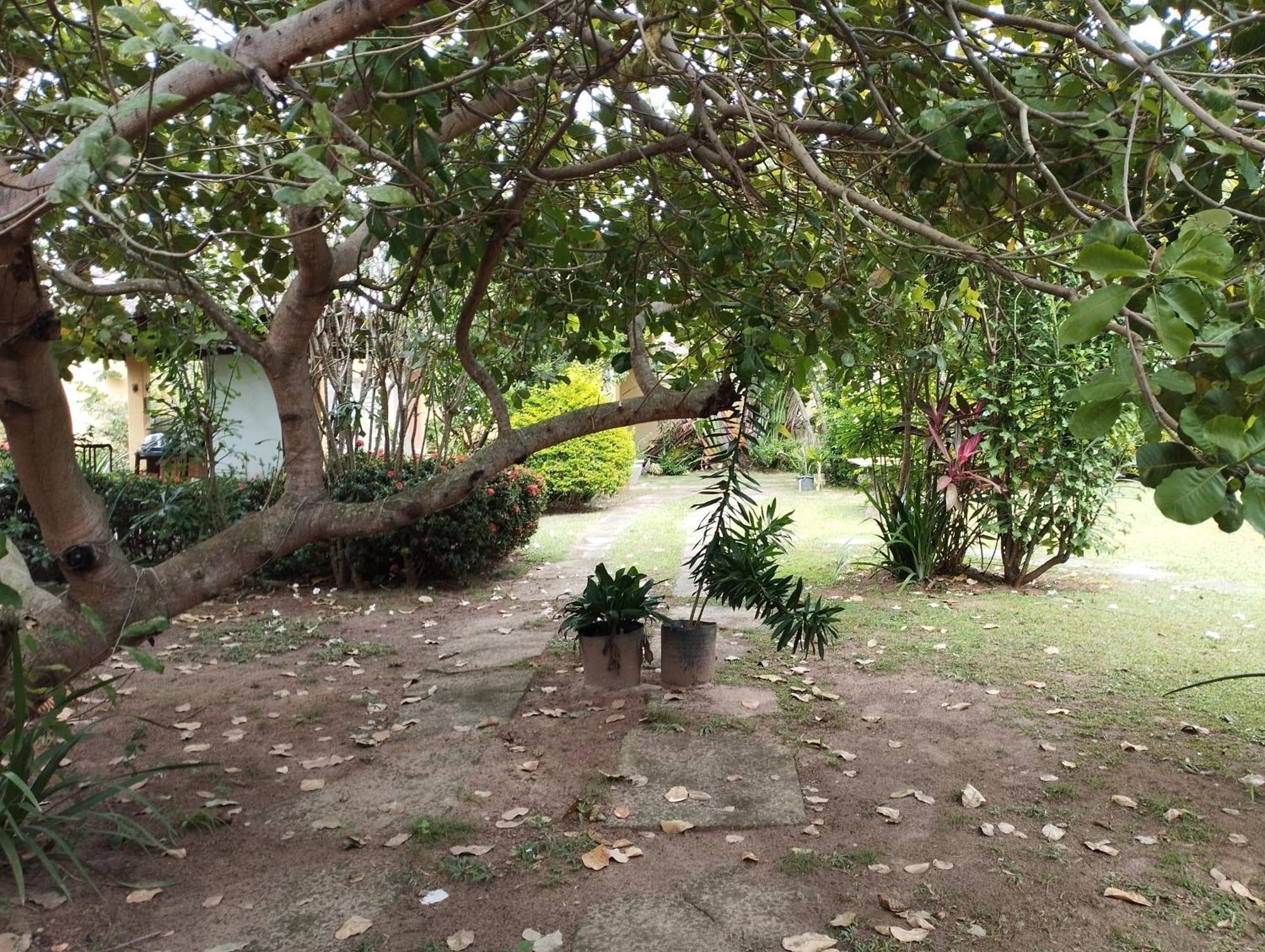 Lumiar Garden Suites E Chales Em Vilas Do Atlantico Лауро-де-Фрейтас Екстер'єр фото