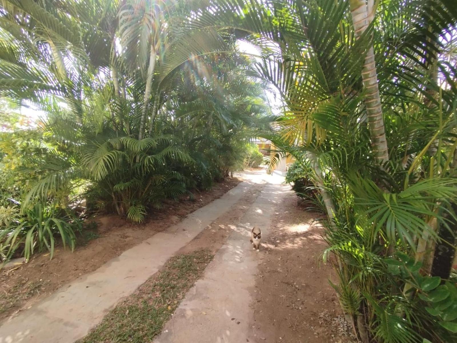 Lumiar Garden Suites E Chales Em Vilas Do Atlantico Лауро-де-Фрейтас Екстер'єр фото
